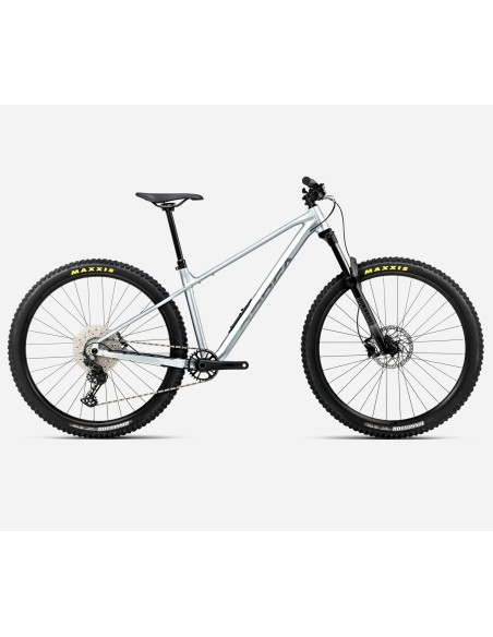 Orbea Laufey H30 Smooth Silver - Titanium