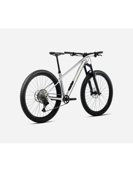 Orbea Laufey H30 Smooth Silver - Titanium