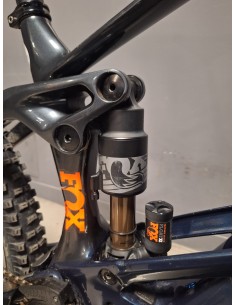 Orbea Wild H10 2