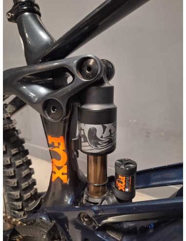 Orbea Wild H10