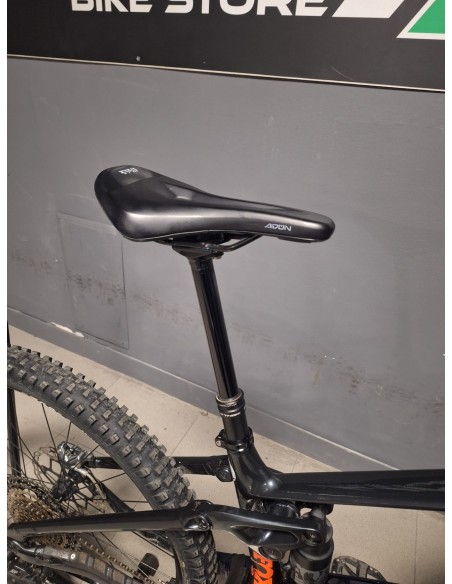 Orbea Wild H10