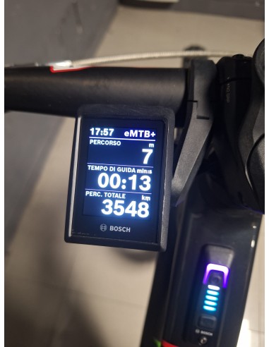 Orbea Wild H10