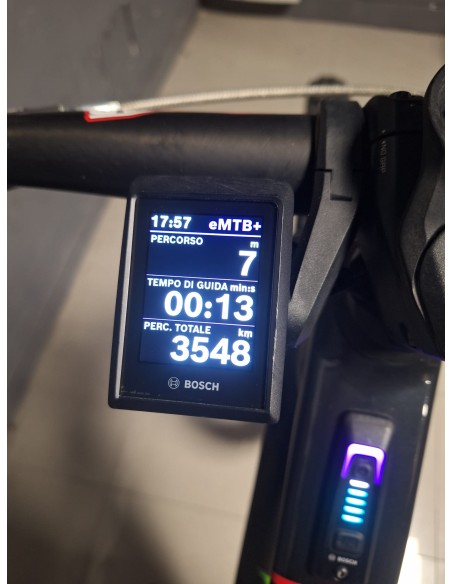 Orbea Wild H10