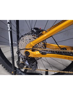 Orbea Wild H10 2