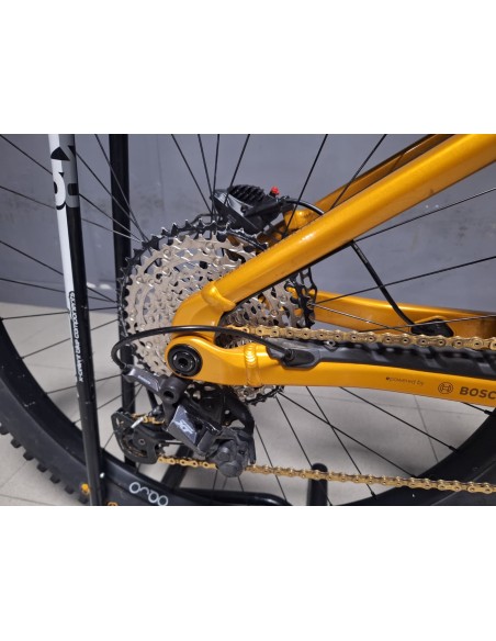 Orbea Wild H10