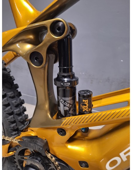 Orbea Wild H10