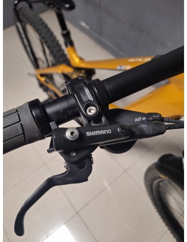 Orbea Wild H10
