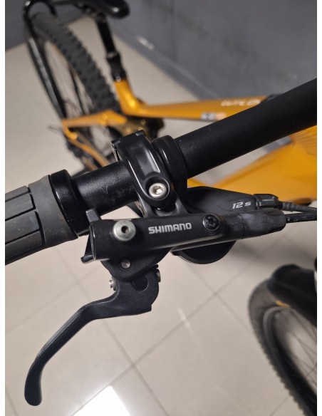 Orbea Wild H10