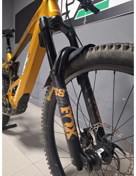 Orbea Wild H10