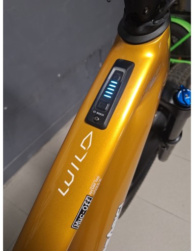 Orbea Wild H10