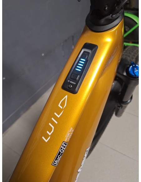 Orbea Wild H10