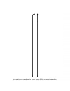 Raggio Strong Inox Testa...