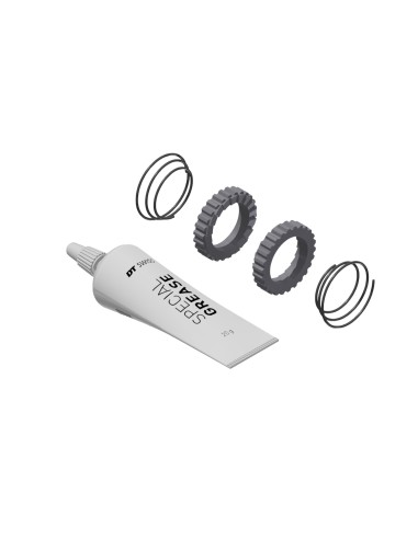 Kit Revisione DT Swiss Ratchet 18T...
