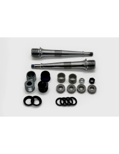 Kit Revisione Asse +...