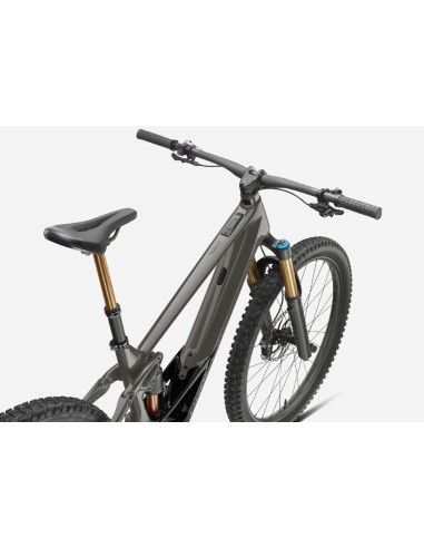 Orbea Wild M-Team M Custom 2024