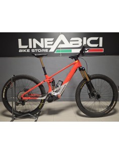 Orbea Wild M10 Custom