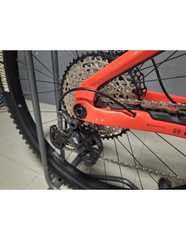 Orbea Wild M10 Custom