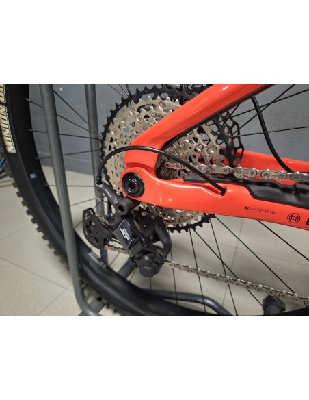 Orbea Wild M10 Custom