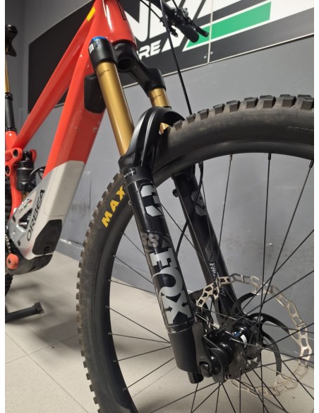 Orbea Wild M10 Custom