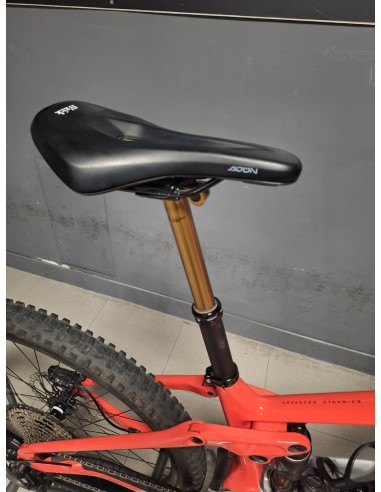Orbea Wild M10 Custom