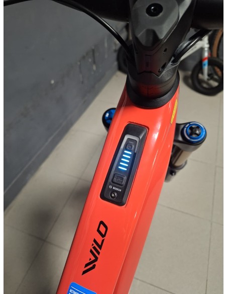Orbea Wild M10 Custom