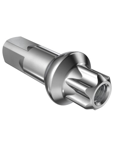 Nippel Dt Swiss alluminio Pro Lock 2.0x15